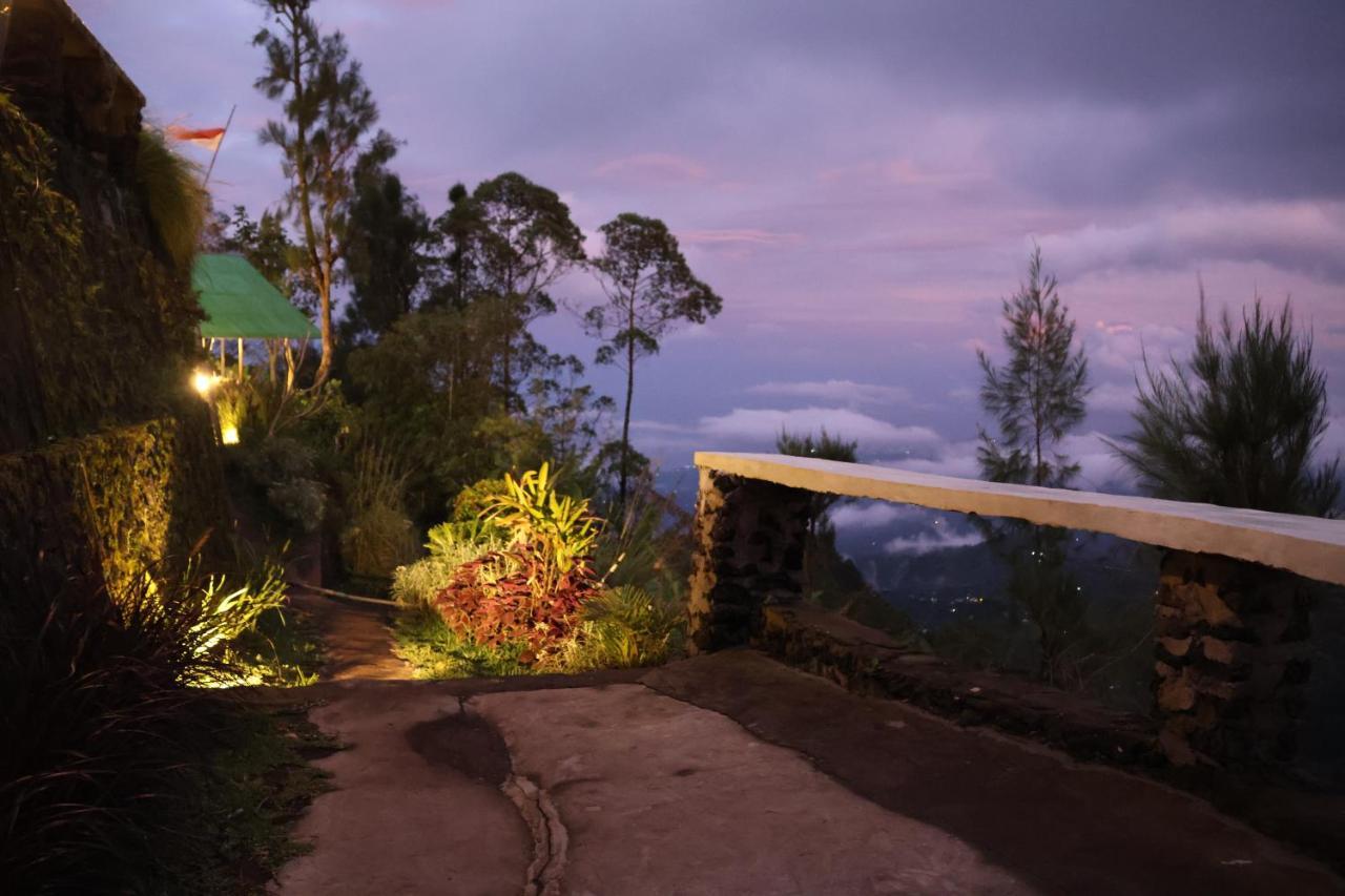 Sunrise Camp Kintamani